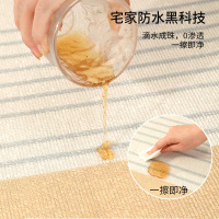 奶油风客厅地毯2024新款高级感沙发茶几防水免洗可擦家用卧室地垫