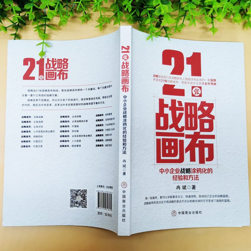 [正版]21张战略画布 中小企业战略涂鸦化的经验和方法 企业管理经营书籍 中小企业的转型升级和资本战略 销售团队这样带