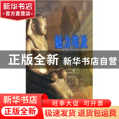 正版 魅力埃及 霍文杰主编 文物出版社 9787501022939 书籍
