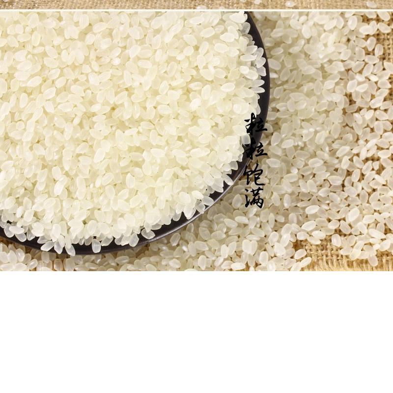 叶升蟹田硒米5kg宁夏大米贡米