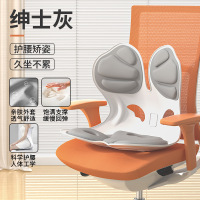 铁迅护腰靠坐垫X43 个