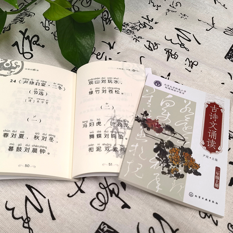 古诗文诵读二年级 小学二年级 [正版]古诗文诵读 二年级 上册 下册 6-12岁儿童小升初语文古诗词课外读本 经典古诗
