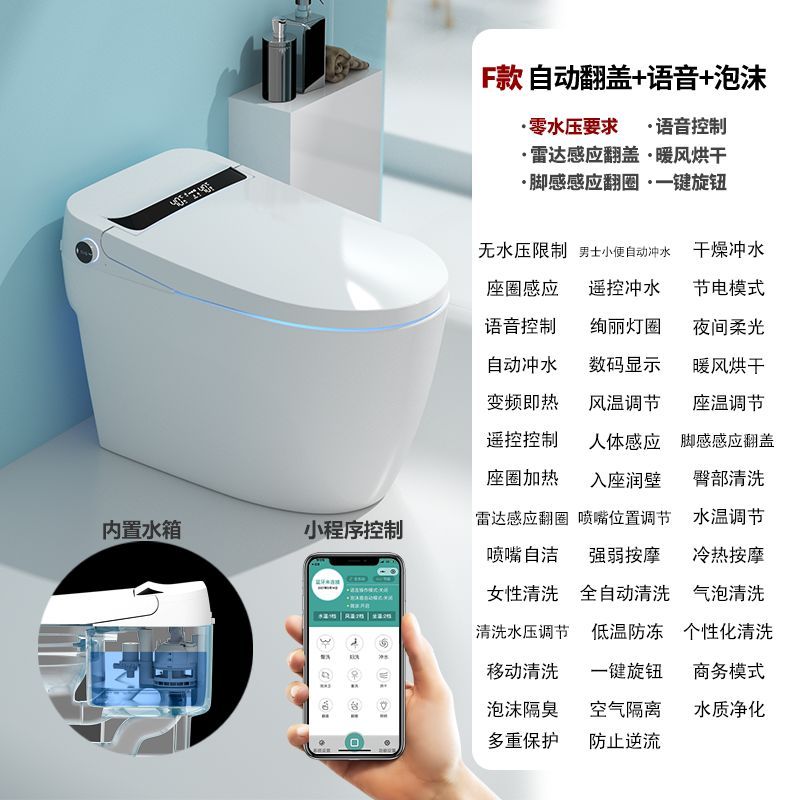 德国全自动智能马桶无水压限制语音一体式家用大小户型电动坐便器