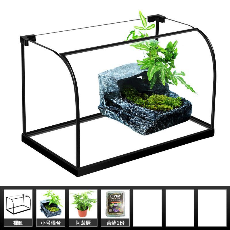 乌龟缸生态缸带晒台别墅植物造景玻璃鱼缸客厅小型家用养龟专用缸图片