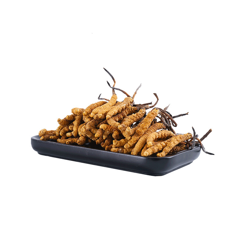 群安堂冬虫夏草3根克视频