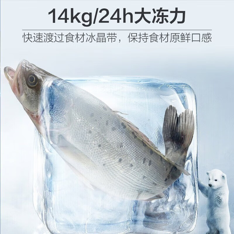 海尔(Haier)对开门冰箱540升容量家用 风冷变频一级能效干湿分储净味除菌超薄 BCD-540WGHSSE5SF高清大图