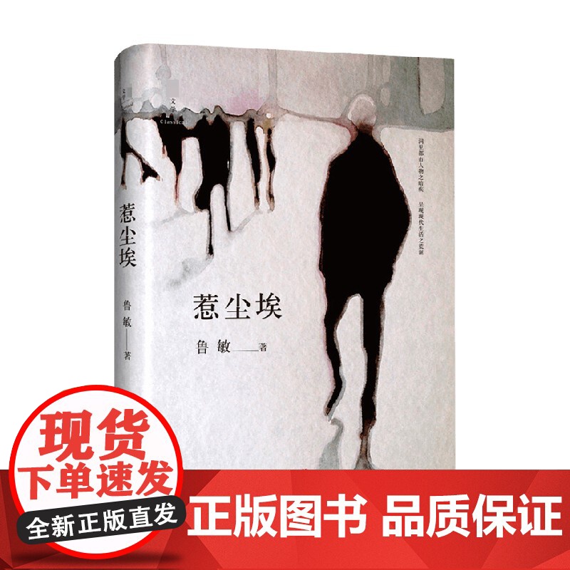 惹尘埃 鲁敏 著 小说高清大图