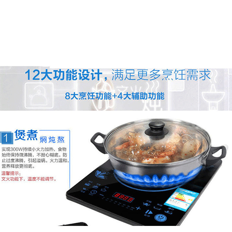 山水(SANSUI)SC-2009 触摸电磁炉 电火锅 单台装 电磁炉