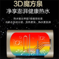 well-born惠洁宝RZL28F2鎏金版健康活水速热 全家洗澡不排队 11倍增容