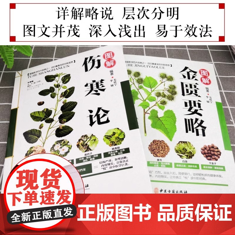 正版 伤寒论 张仲景正版+金匮要略 共两本中医临床丛书伤寒论杂病论中医四大经典名著自学入门古籍医学书中医基础理论知识高清大图