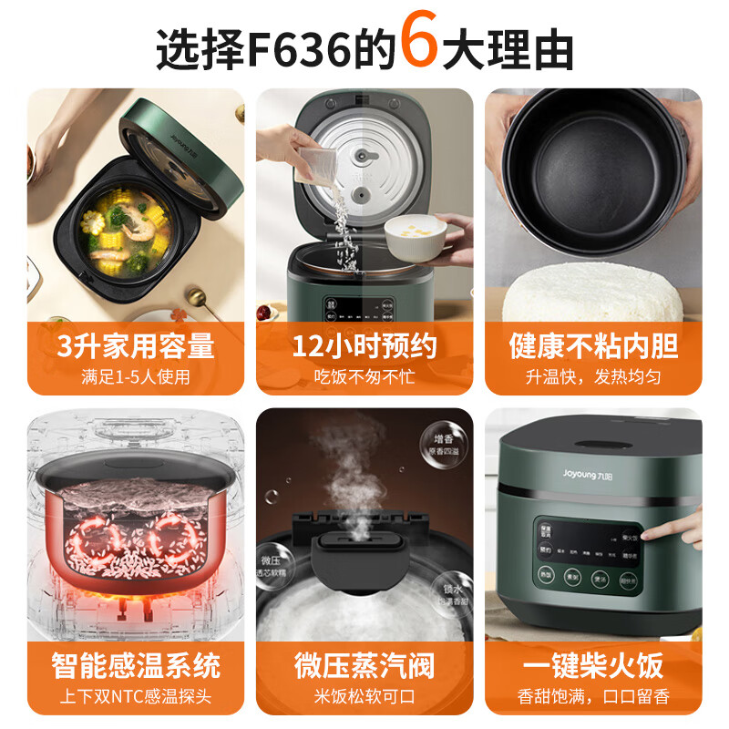 九阳Joyoung-电饭煲F30FZ-F636高清大图