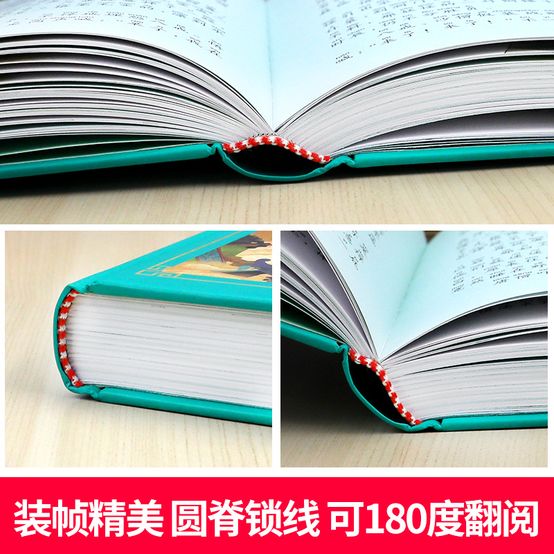 四大名著 小树苗儿童成长经典阅读宝库珍藏版全4册 全彩注音(硬壳精装) [正版]西游记七年级 必 读推 荐阅读书目 四大高清大图