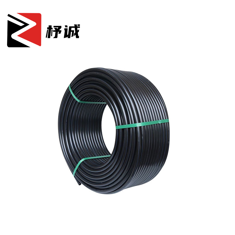 杼诚PE管6分/米高清大图