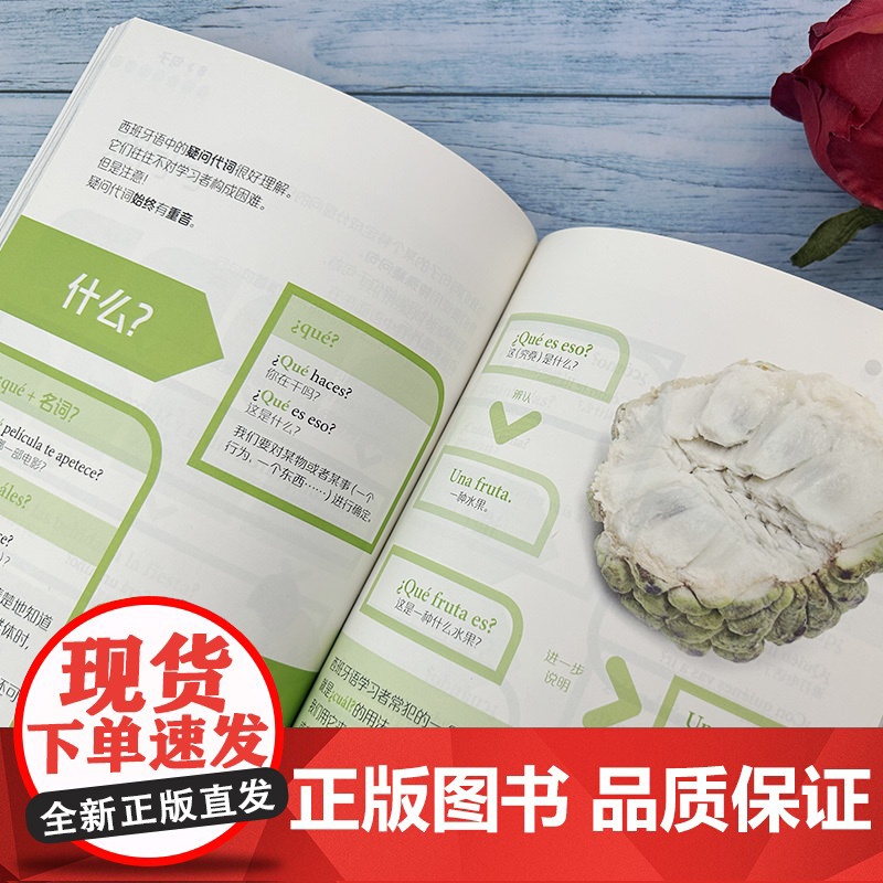 正版 图解西班牙语语法 外教社图解外语语法系列 零基础学习西班牙语语法 西班牙语法入门教程 上海外语教育出版社 978高清大图
