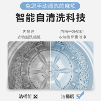 美的（Midea）MB80V331 波轮洗衣机 8公斤全自动定频家用宿舍大容量快洗脱水免清洗省水省电