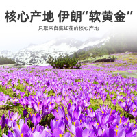 3g铁盒装 特级藏红花 礼盒装伊朗藏红花长丝番红花官方旗舰店