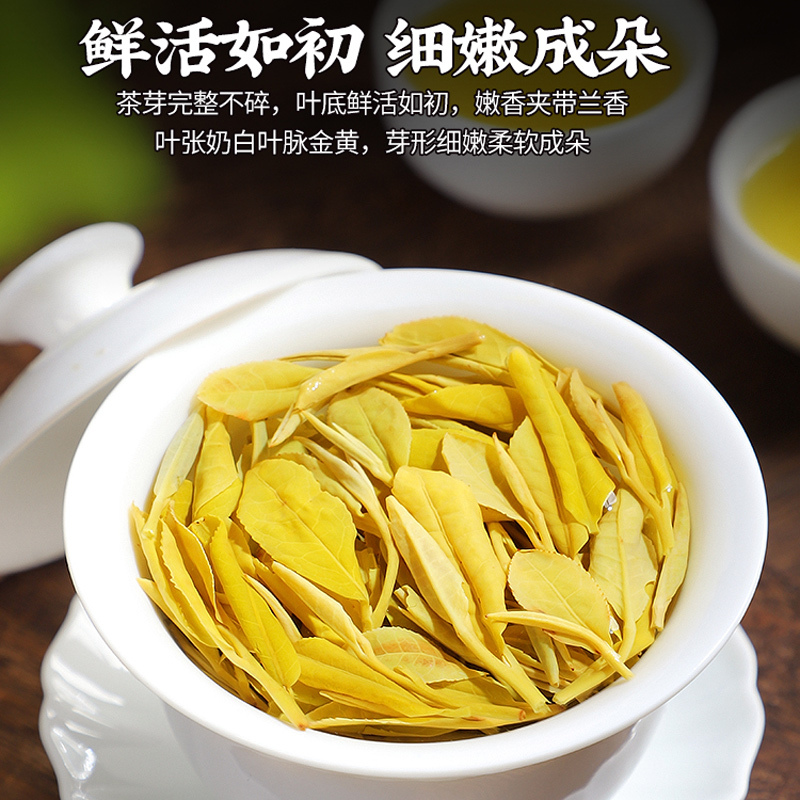 2024新茶特级安吉特产白茶新茶明前黄金芽茶叶正宗绿茶散装750g