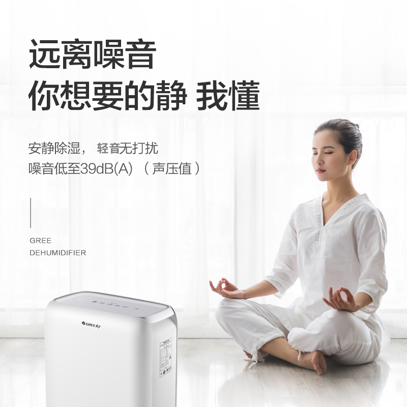 格力(GREE)除湿机DH12EN 除湿器抽湿机 家用卧室办公室地下室低噪干衣12升/天水满保护智能控湿适用高清大图