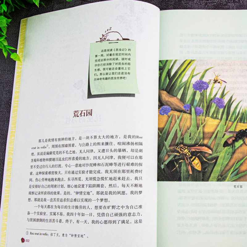 昆虫记 [正版]昆虫记人教版 原着无删减书籍法布尔着人民教育出版社八年级上册语文配套必初中生8年级上册阅读原着完整版名著高清大图