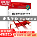 聚合物纳米复合材料手册:原版引进