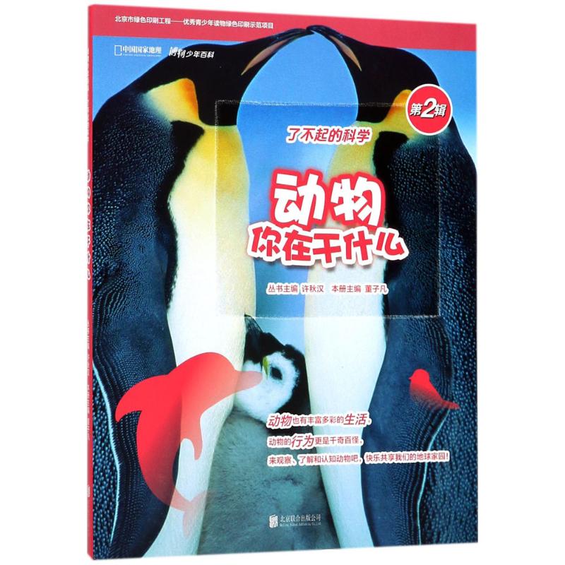 动物你在干什么高清大图