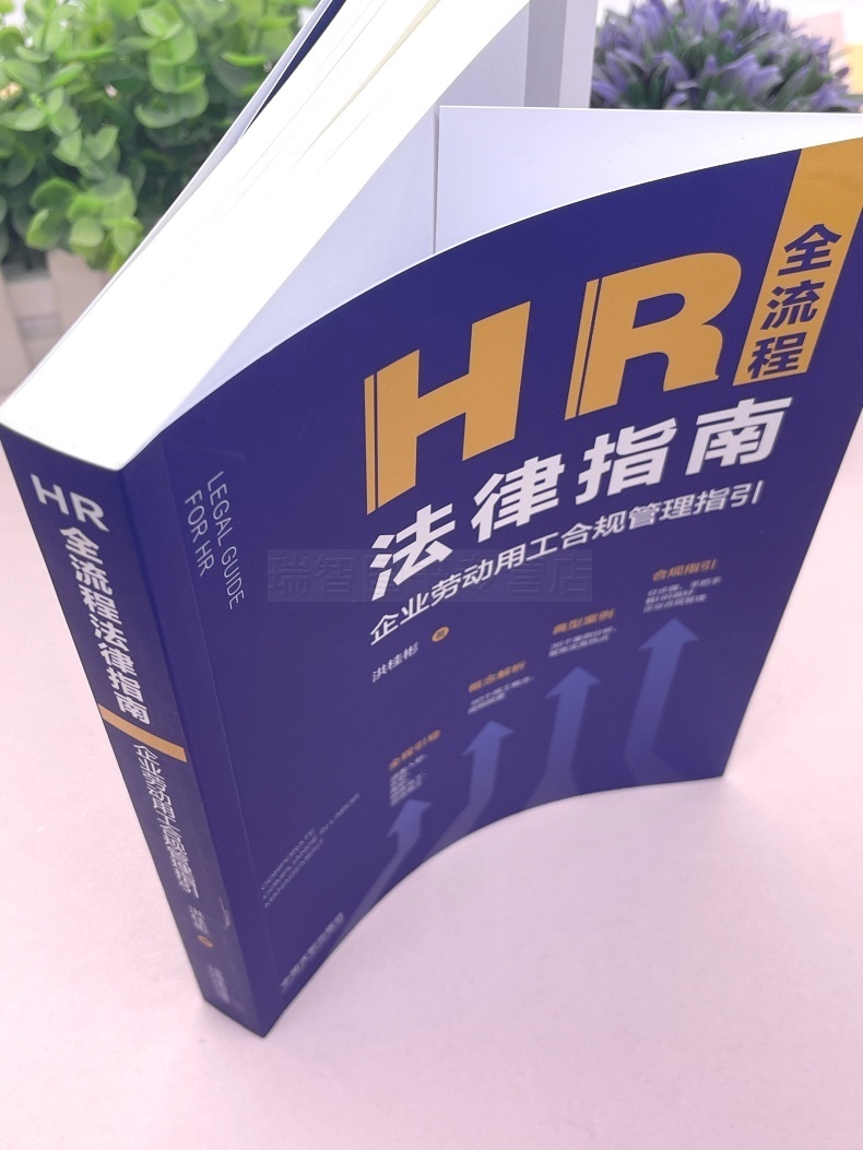 [正版]2023新书 HR全流程法律指南 企业劳动用工合规管理指引 洪桂彬 著概念解析 90个用工概念 简明扼要典型高清大图