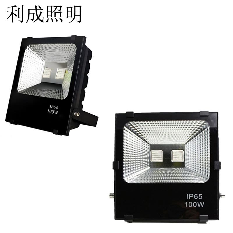 利成照明 彩色泛光灯 LC1321-100W图片