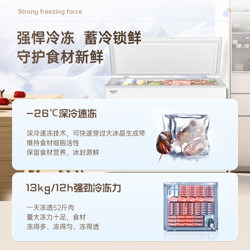 澳柯玛BC/BD-291HVS 291升家用卧式冷柜冷冻冷藏冰柜一级节能家用卧室冰箱