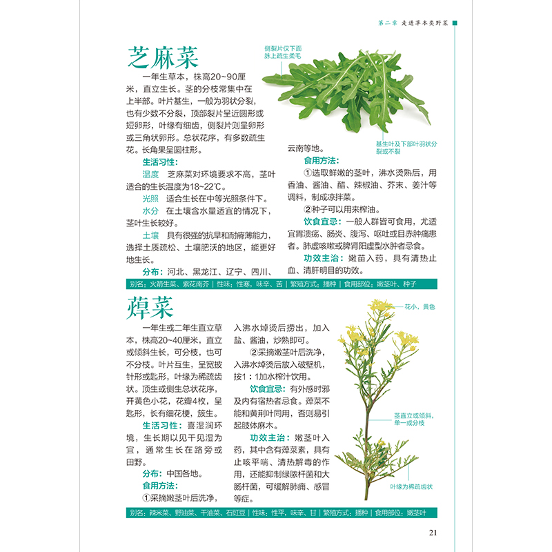 醉染图书野菜轻图鉴---轻图鉴系列29787571333980高清大图