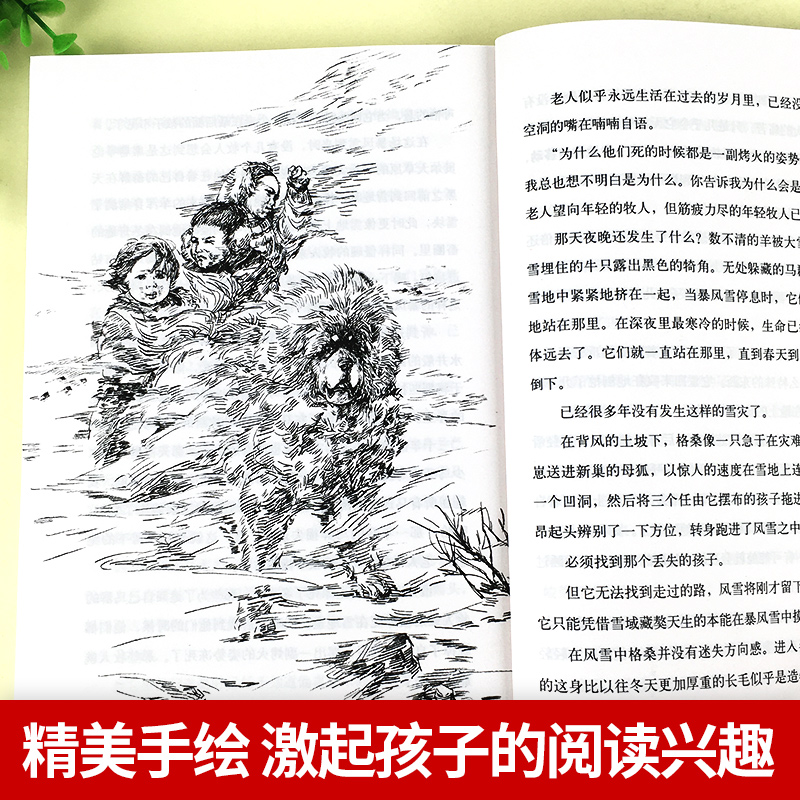 [经典两册]我和小狼芬里尔+黑焰 [正版]黑焰 黑鹤动物文学精品系列 小学生三四五六年级课外阅读6-7-9-12岁治愈非高清大图
