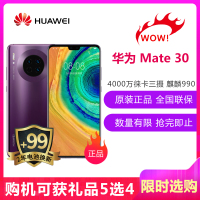 华为 HUAWEI Mate 30 8GB+128GB 罗兰紫 移动联通电信4G全网通 麒麟990 IP53防水防尘 磁悬浮发声技术 4800万超感光徕卡三摄 双卡双待新旗舰手机
