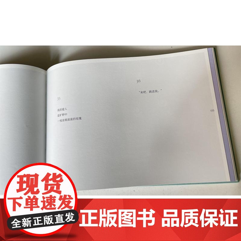 我在所有的秘密里爱你 蓝蓝/著 诗歌 纯粹出品 广西师范大学出版社高清大图