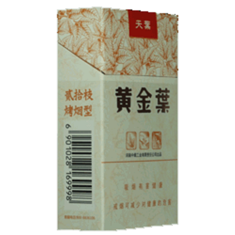 黄金叶(天叶)