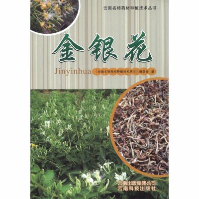 金银花/云南名特药材种植技术丛书