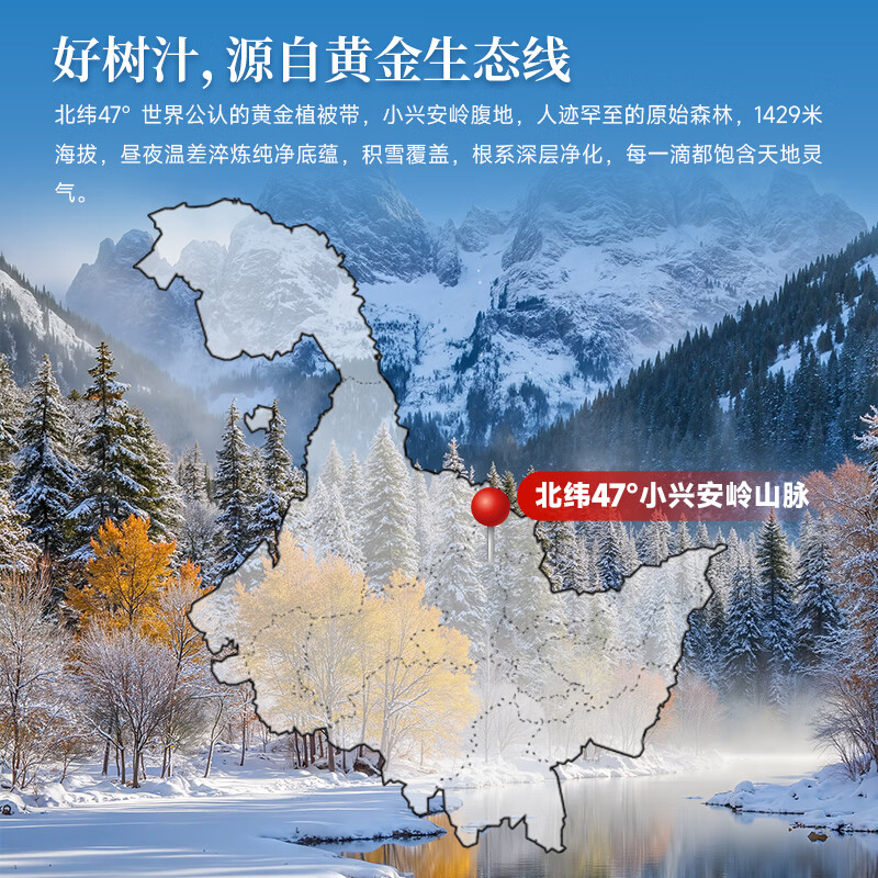 探味寒地100%白桦树原汁NFC原果鲜榨320mL*6瓶高清大图