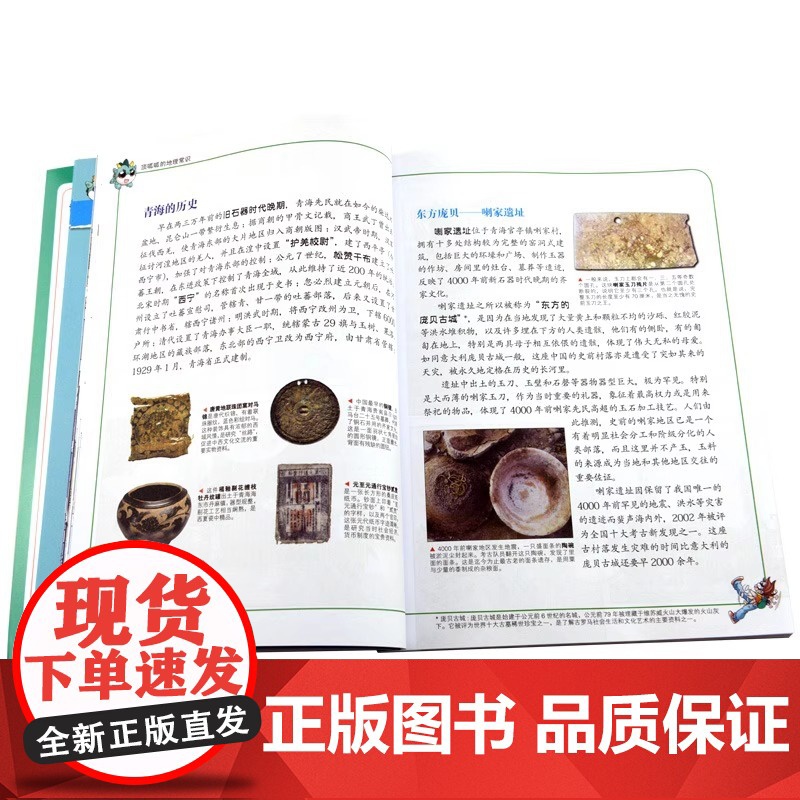 青海寻宝记漫画书我的一本大中华寻宝儿童漫画故事书系列21中国地理百科全书小学生科普历史文化书籍6-9-12周岁小学生课外高清大图