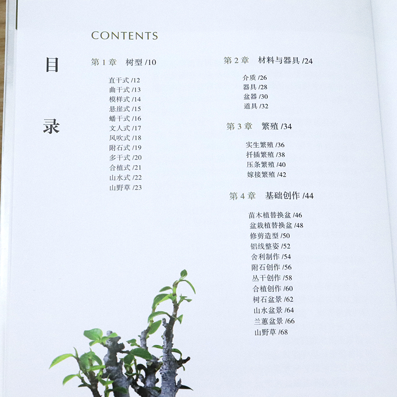 [正版]超人气迷你盆栽 微型盆景制作造型设计教程水肥管理病虫害技术盆栽栽培技术大全书籍