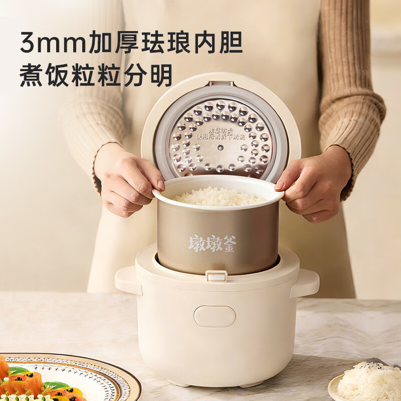 BRUNO 小饭墩 电饭煲(升级珐琅内胆)BZK-FB01-FL高清大图