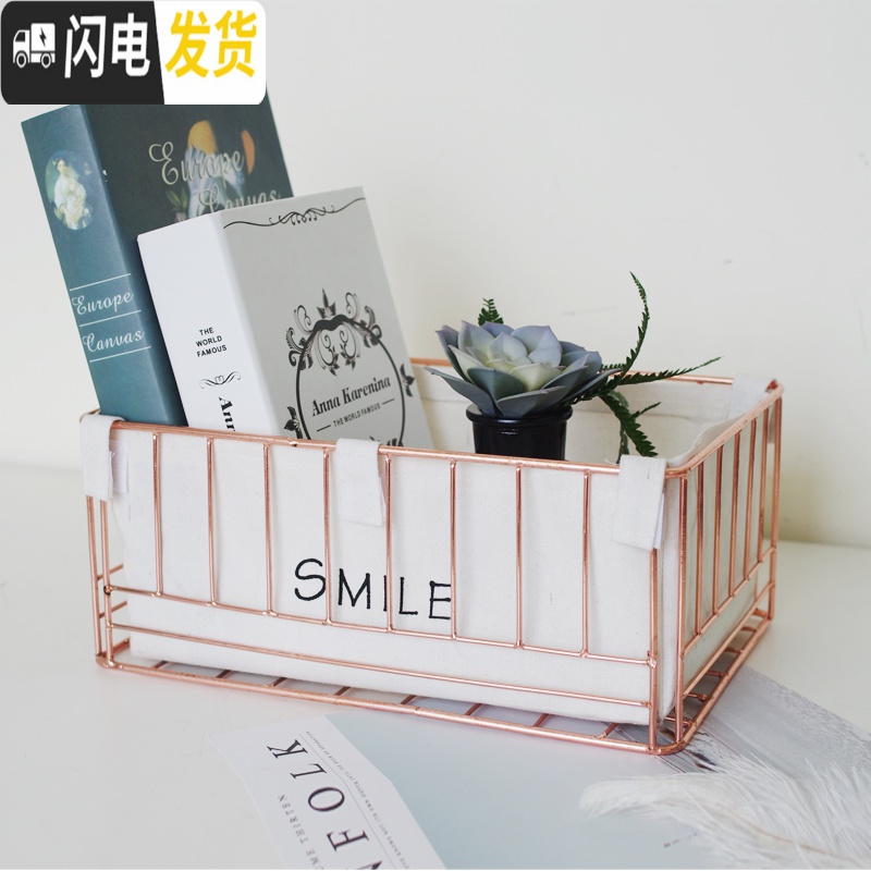 三维工匠桌面铁艺ins收纳筐杂物置物篮子玄关钥匙置物盒化妆品收纳整理盒收纳盒高清大图