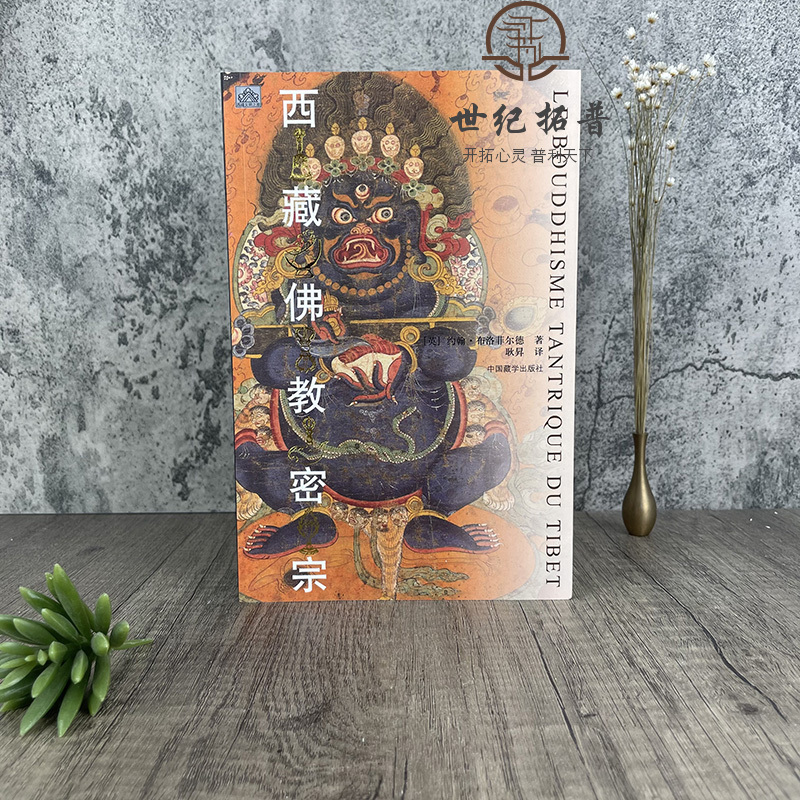 [正版] 西藏佛教密宗 约翰布洛菲尔德 著 中国藏学出版社藏传佛教藏学书籍西藏文化