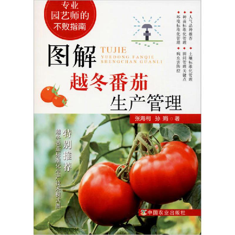 正版新书】图解越冬番茄生产管理张海利9787109263765