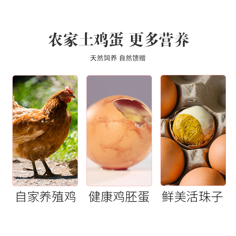 红双阳 活珠子800g礼盒装(40g*20只)