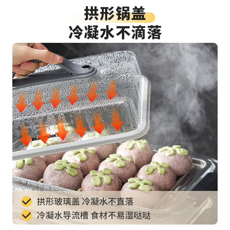 蓝宝(BLAUPUNKT) BP-ZG10 玻璃电蒸锅 蒸炖锅家用多功能锅10L高清大图