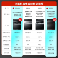 集成灶消毒柜款二星级消毒油烟机燃气灶 23立方变频大吸力5.2kW灶 i30G31 右排烟