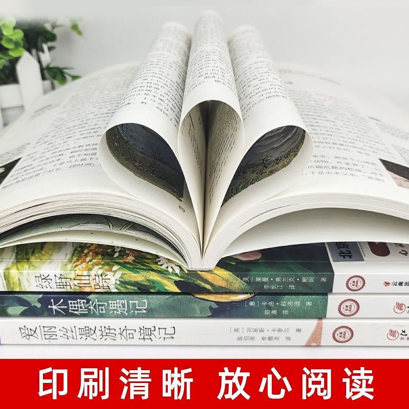 中国人保财险承保[假一赔十] [1本]绿野仙踪 柳林风声绿野仙踪爱丽丝漫游奇境木偶奇遇记正版小学生课外阅读书