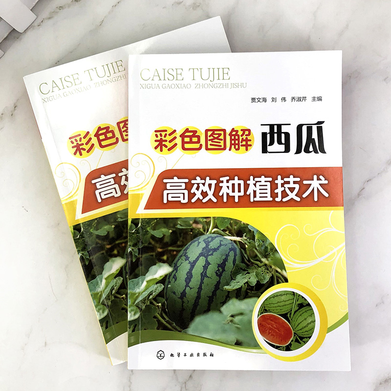[醉染正版]彩色图解西瓜高效种植技术 贾文海,刘伟,乔淑芹 编 种植业 专业科技 化学工业出版社 9787122357高清大图
