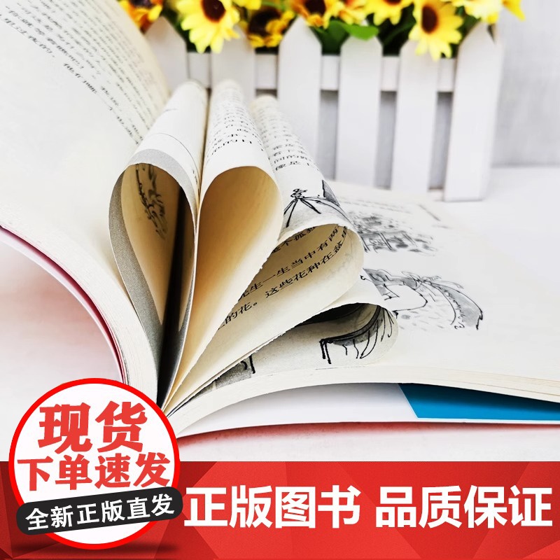 全套13册罗尔德达尔作品非注音版正版了不起的狐狸爸爸好心眼儿巨人玛蒂尔达女巫查理和巧克力工厂小学三四五六年级课外书阅读书高清大图