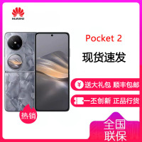 华为/HUAWEI Pocket 2 12GB+256GB 大溪地灰 全焦段XMAGE四摄 紫外防晒检测 鸿蒙折叠屏手机