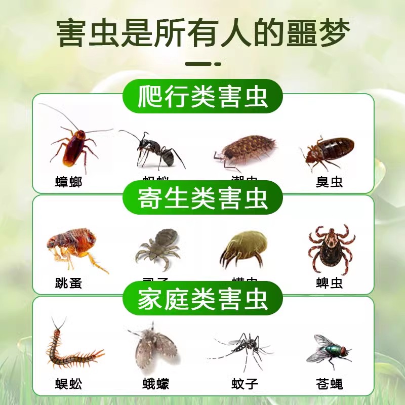杀虫剂家用室内非无毒驱虫药防蜈蚣蜘蛛驱除床上除虫神器驱虫香薰高清大图