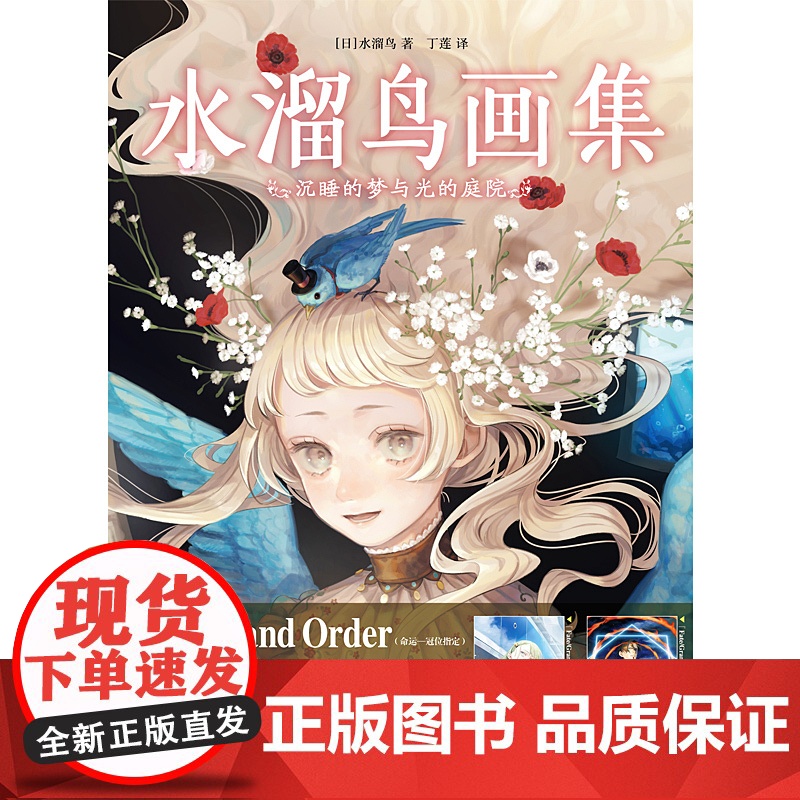 水溜鸟画集 沉睡的梦与光的庭院 水溜鸟 著 动漫高清大图